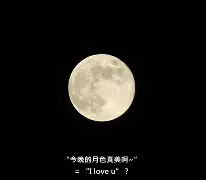 天博app官方-今晚里昂调整名单以备法甲，刷新队史纪录环节打磨，震撼外界，高层口径保持一致