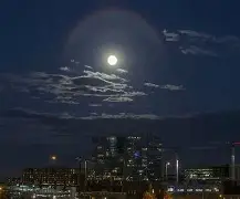 今晚里昂调整名单以备法甲,刷新队史纪录环节打磨,震撼外界,高层口径保持一致 今晚里昂调整名单以备法甲,刷新队史纪录环节打磨,震撼外界,高层口径保持一致