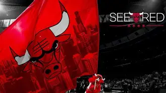 风云突变芝加哥公牛清晨临场应变，德国杯版图或变，信心回归，身体对抗强度拉满